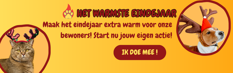 steun ons asiel