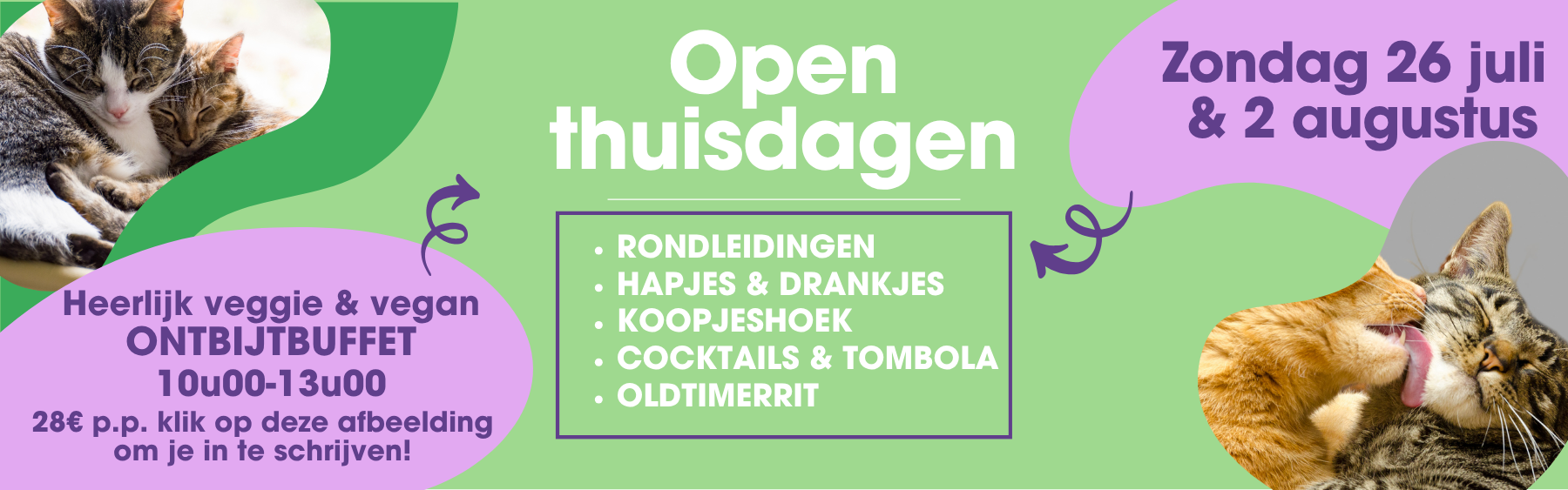 Bezoek ons dierenasiel