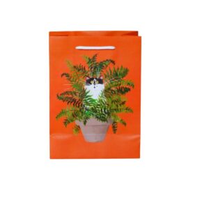 Cadeautas Kim Haskins rood medium