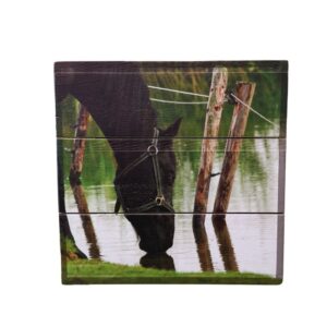 Decoratie hout paard