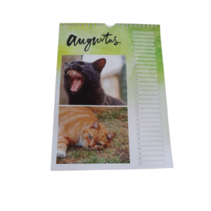 Verjaardagskalender Het dierenthuisje