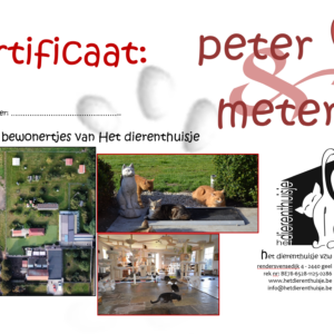Schenk het meter-/peterschap over de bewonertjes
