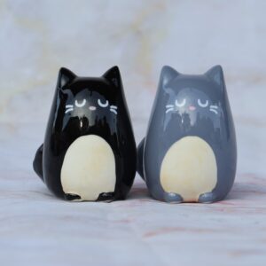 Peper- en zoutstel katten - Feline Fine