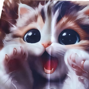 Kussenhoes kitten Anime