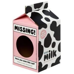 Speelhuisje Kat in karton