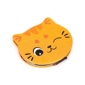 Zakspiegeltje rosse kat